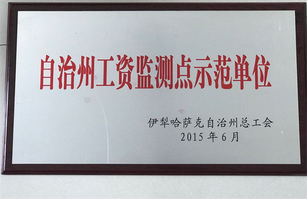 清源供水2015年6月荣获自治州工资监测点示范单位